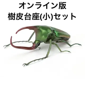 생물대도감 가부토 하나구리 (그린)
