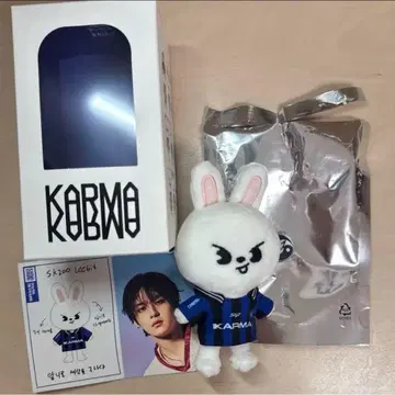 straykids 리노 KARMA