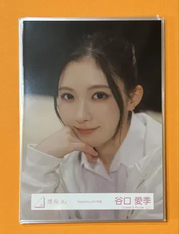 사쿠라자카46 브로마이드 타니구치 아이리 묶음 판매 14장