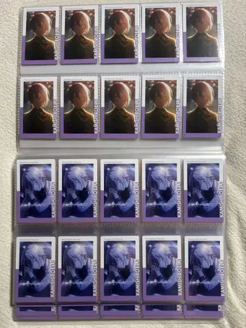 카미시로 루이 에피카 14B