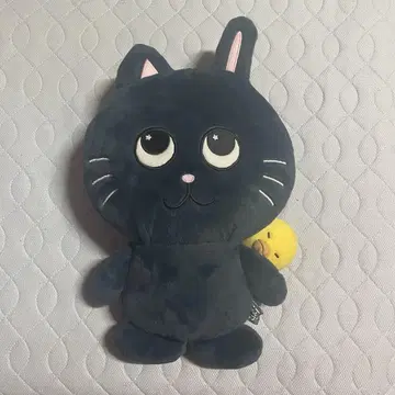 RIIZE 원빈 봉제 인형 40cm