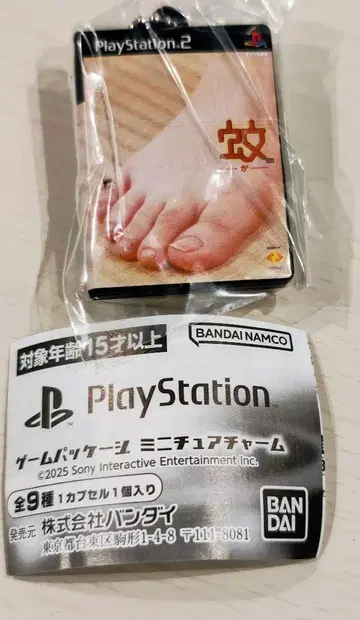 Playstation 게임 패키지 미니어처 참 시크릿 모기