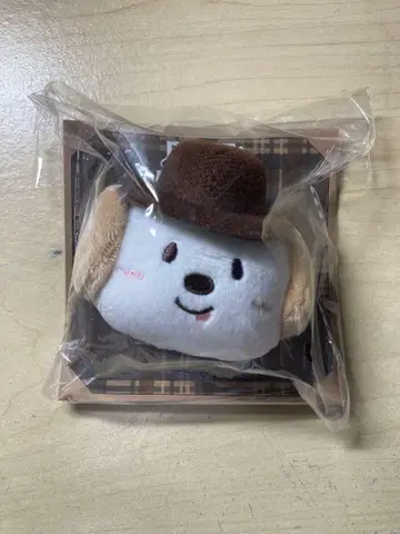 RIIZE 인형 배지 앤톤 몽룡이 멍룡이 앤톤 트레이딩 카드