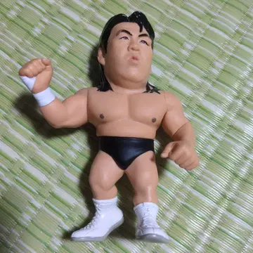 hao 쵸슈 리키 프로레슬링 피규어 약 15cm 가동식