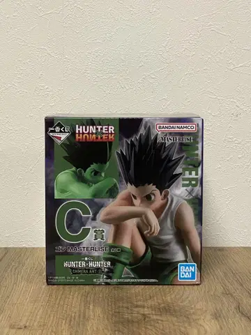 HUNTER HUNTER 곤