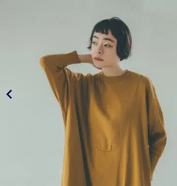 호보니치 부잠 T 드레스