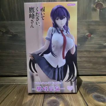 신어주세요 타카네 씨 타카미네 타카네 피규어