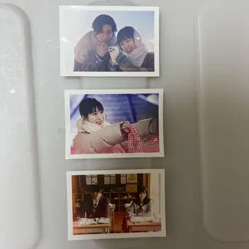 영화 옆집 스텔라 입장객 특전 3장 세트