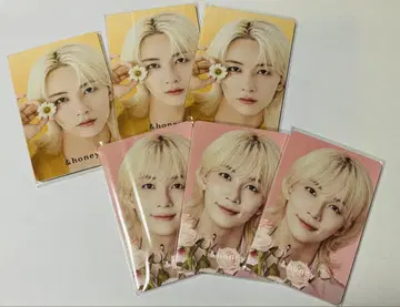 &honey with 정한 seventeen 카드