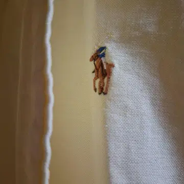 랄프 로렌 버튼 다운 셔츠