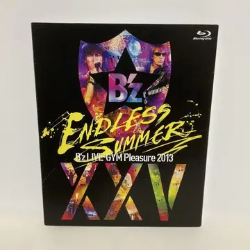 B'z/B'z LIVE-GYM Pleasure 2013 ENDLESS -
