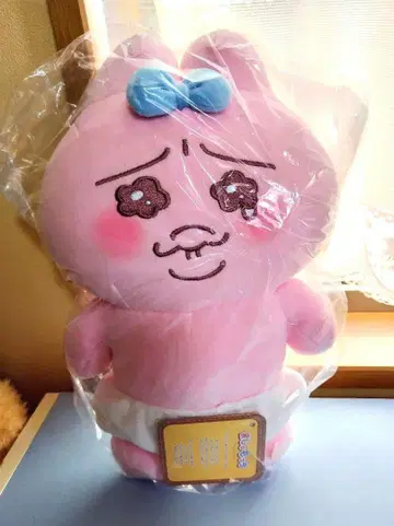 빤쮸토끼 마시모치