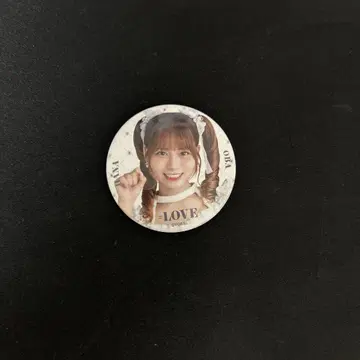 이퀄러브 핀 배지 오바 하나