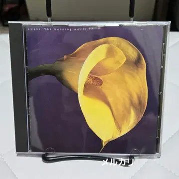 Swans The Burning World CD 일본반 일본 국내 사양