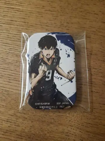 하이큐 환희의 고동 스퀘어 캔뱃지 카게야마