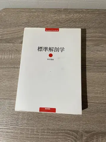 표준 해부학
