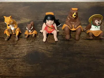 동물 사우나 5 풀 컴프품