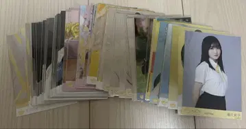 니아 조이 브로마이드 미니 사진 굿즈 묶음 판매