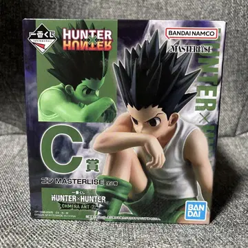 HUNTER x HUNTER C상 곤