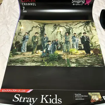 Stray Kids 포스터