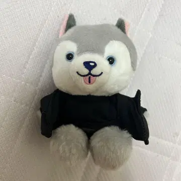 노킹 온 락드 도어 앉은 봉제 인형 (토리이 이누)