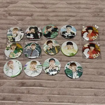 팬더 드래곤 펀치 타이거 아즈 캔 배지