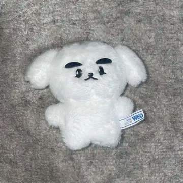 wayv 샤오쥔 봉제 인형