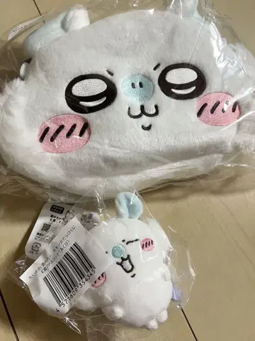치이카와 모몽가 복권