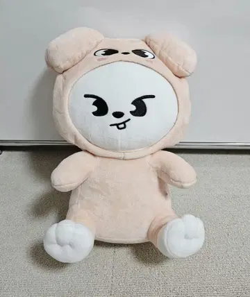 스키즈 리 비트 다키누이