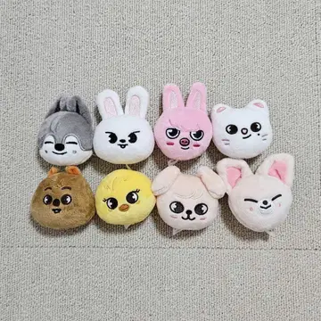 스키즈 마그넷 세트