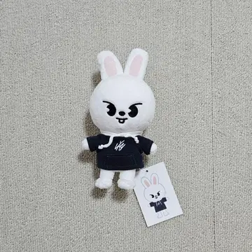 스키즈 리 비트  미니 사이즈