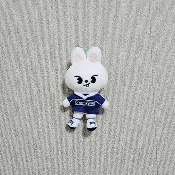 스키즈 리 비트 백참 팝업