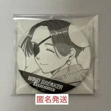 WIND BREAKER 윈브레 윈브레전 캔뱃지 소방