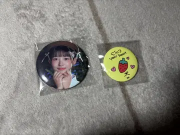 VE 레이 IVE SCOUT 아이브 서울 팬콘 캔뱃지