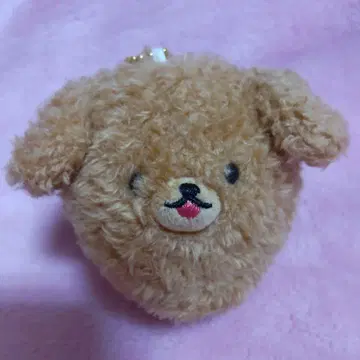 꼬리 붕붕 멍멍즈 2 토이푸들 브라운