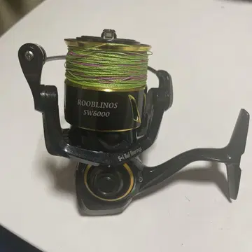 ROOBLINOS SW6000