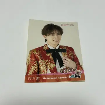 SHOW-WA 무카이야마 타케시 포카포카 스티커 1장