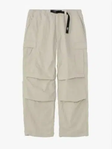 THE NORTH FACE 지오로지 카고 팬츠
