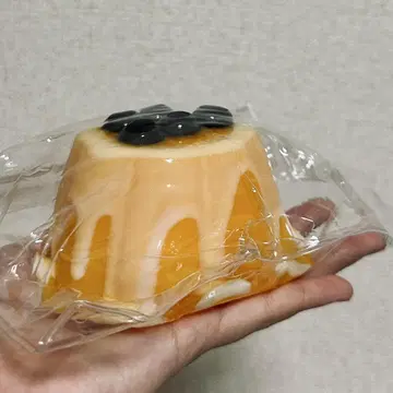 오렌지 푸딩 스퀴즈
