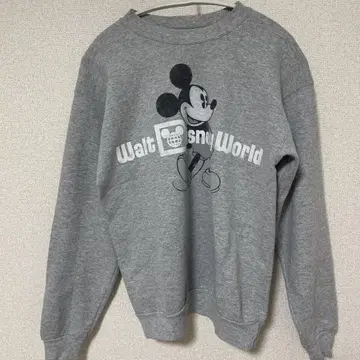 Walt Disney World 구제 의류 트레이닝복 Hanes