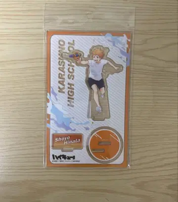 하이큐 물놀이 아크릴 스탠드 히나타 쇼요