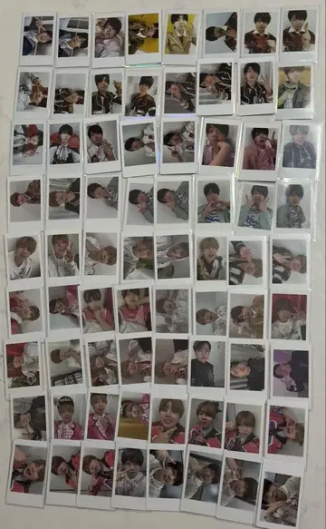 파라곤 나기 하피카