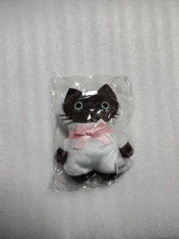 CACAOCAT 카카오캣 복슬복슬 봉제 인형 샤무 시-푸라 한정품