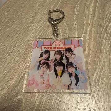 pixelribbon 랜덤 아크릴 키링 아크키 시크릿