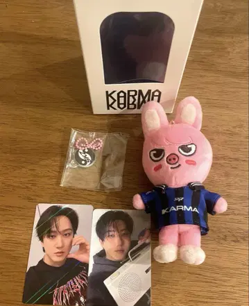 Stray Kids KARMA SKZOO Ver. 돼끼 창빈