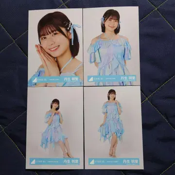 히나타자카46 니부 아카리 2024년 여름 페스티벌 의상 4종 컴프