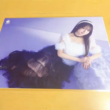 노기자카46 13th 바스라 A3 포스터 앉은 세토구치 신츠키