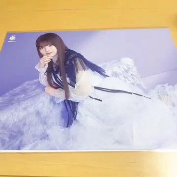 노기자카46 13th 바스라 A3 포스터 앉은 모리히라 레이신