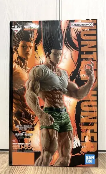 제일복권 헌터헌터 HUNTER x HUNTER 라스트 원상 곤 성장