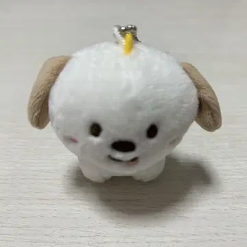 앤톤 몽룡이 키링